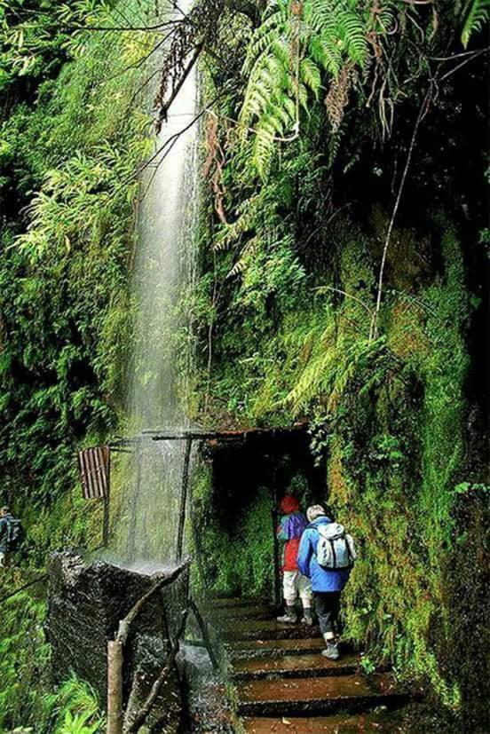 Casa Tipica De Santana - Casa Do Avo Villa ภายนอก รูปภาพ