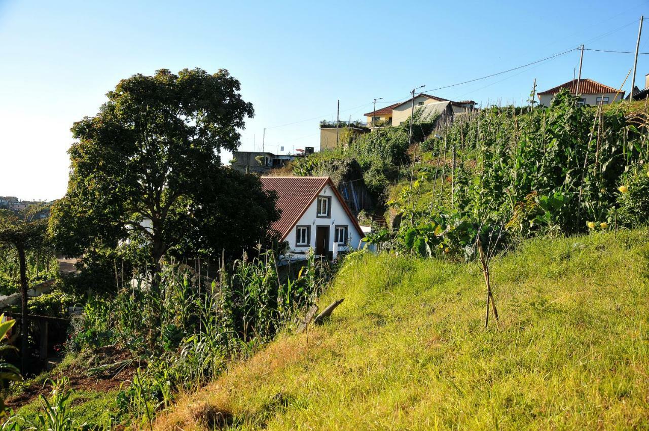 Casa Tipica De Santana - Casa Do Avo Villa ภายนอก รูปภาพ